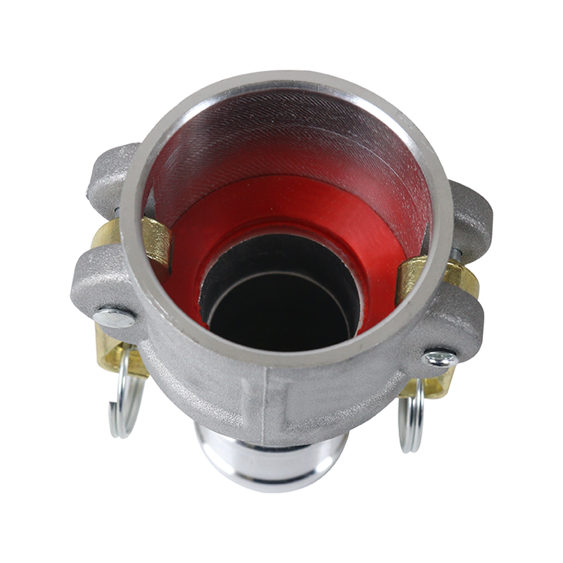 Coloques de mangueira de elenco/forjados